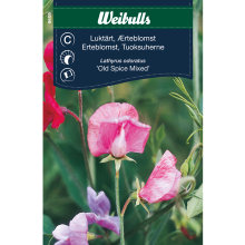 Ærteblomst 'Old Spice Mixed'